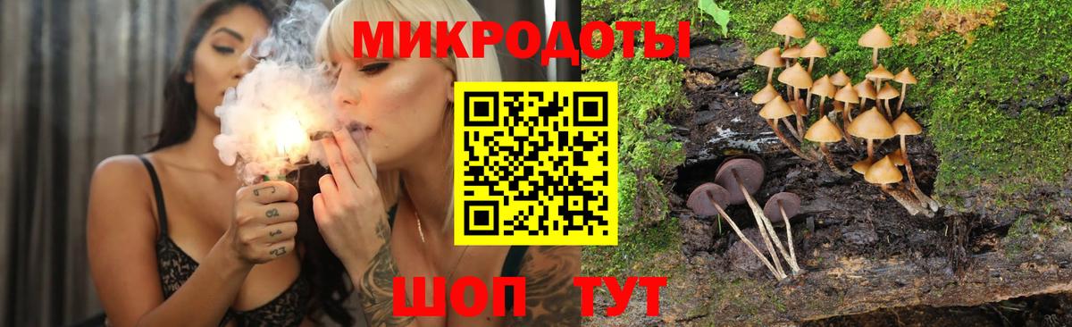 Псилоцибиновые грибы мицелий Юрга